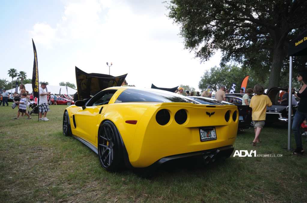 Name:  DSC_0508.jpg
Views: 27
Size:  149.5 KB