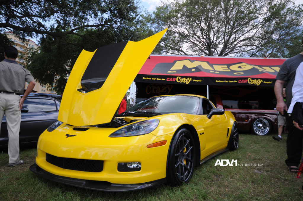 Name:  DSC_0523.jpg
Views: 30
Size:  182.7 KB