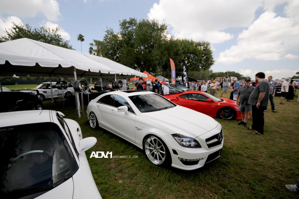 Name:  DSC_0536.jpg
Views: 28
Size:  142.9 KB