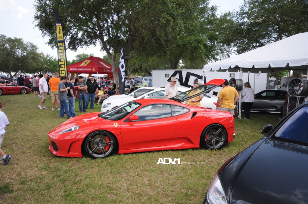Name:  DSC_0540.jpg
Views: 28
Size:  217.0 KB