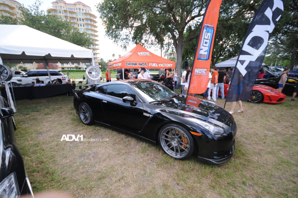 Name:  DSC_0542.jpg
Views: 24
Size:  198.7 KB