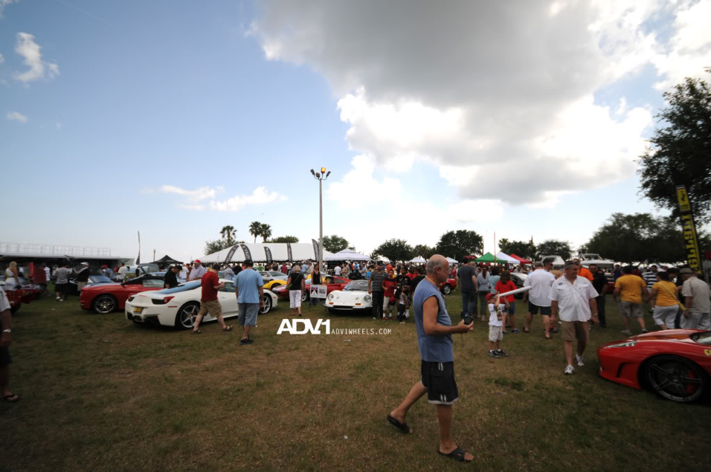 Name:  DSC_0543.jpg
Views: 26
Size:  102.5 KB