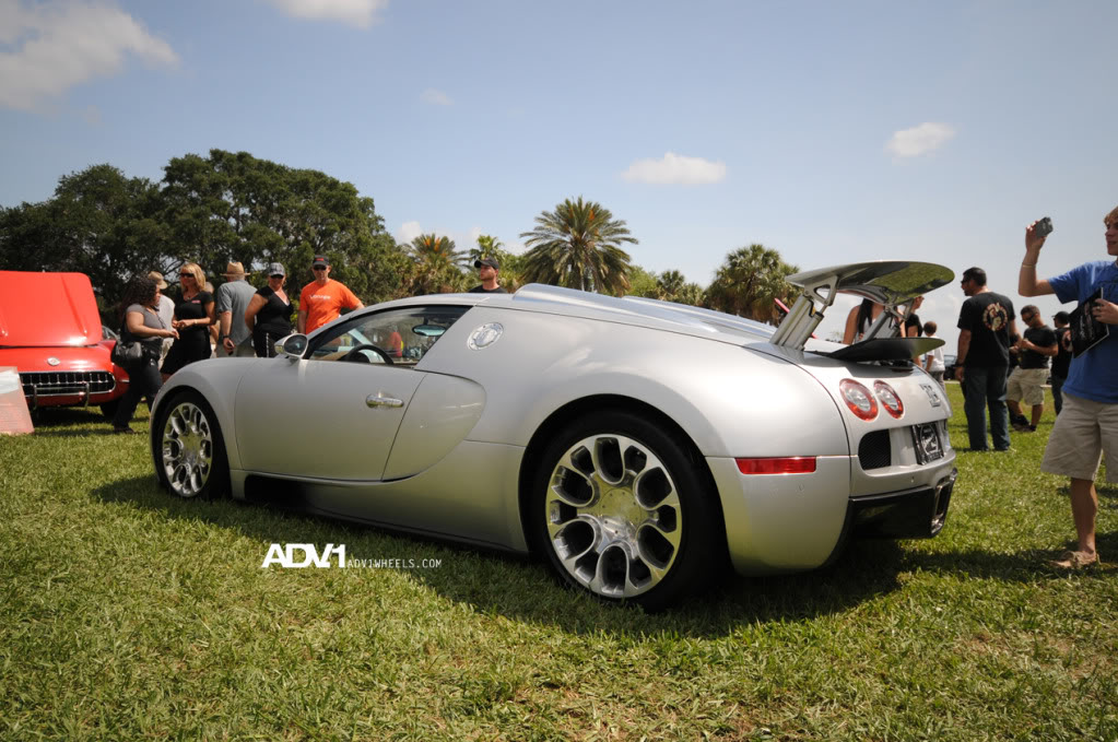 Name:  DSC_0407.jpg
Views: 26
Size:  177.5 KB