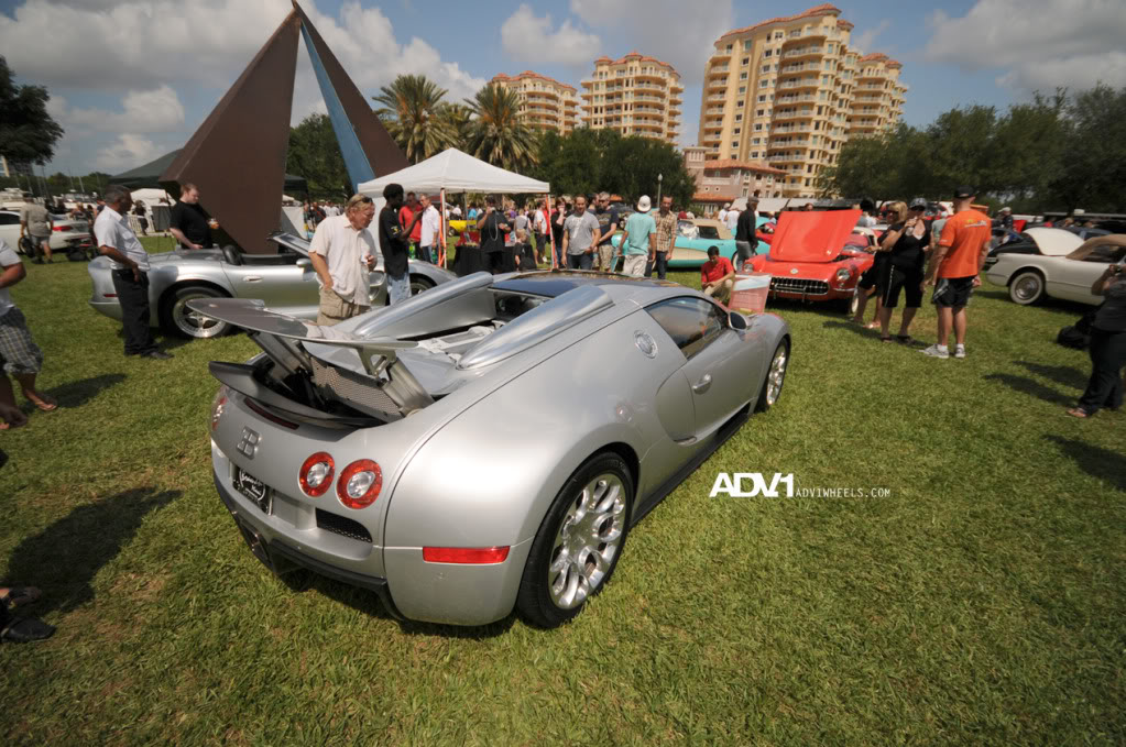 Name:  DSC_0409.jpg
Views: 27
Size:  188.2 KB