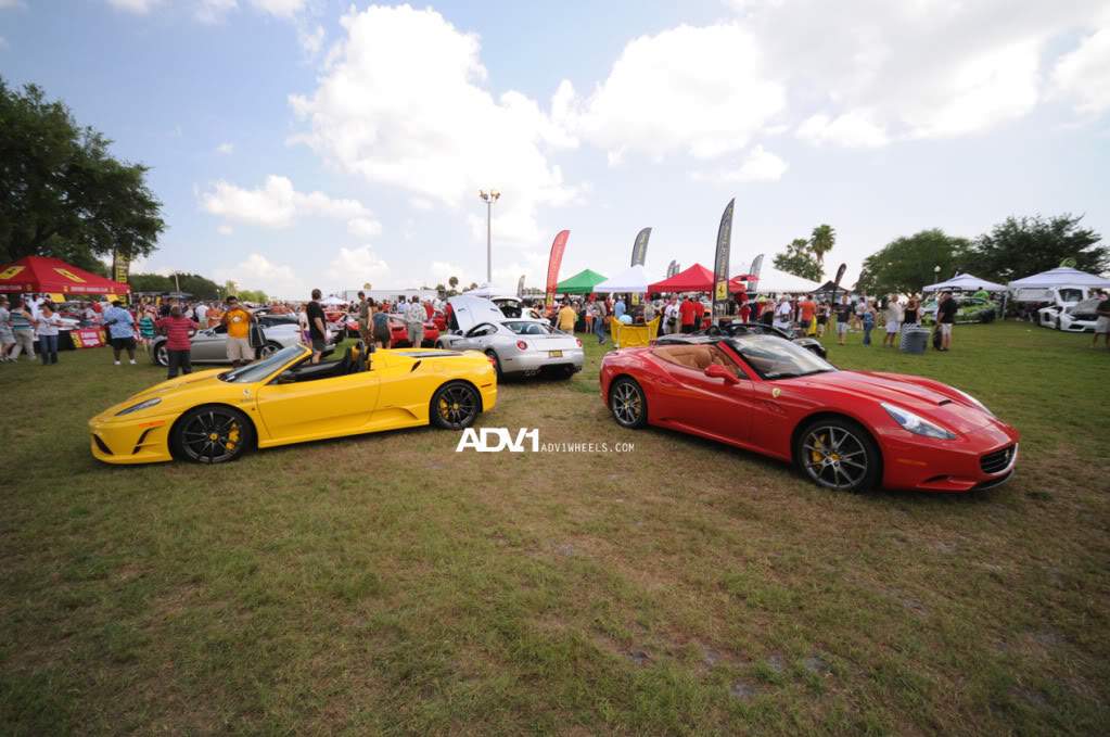Name:  DSC_0432.jpg
Views: 25
Size:  142.9 KB