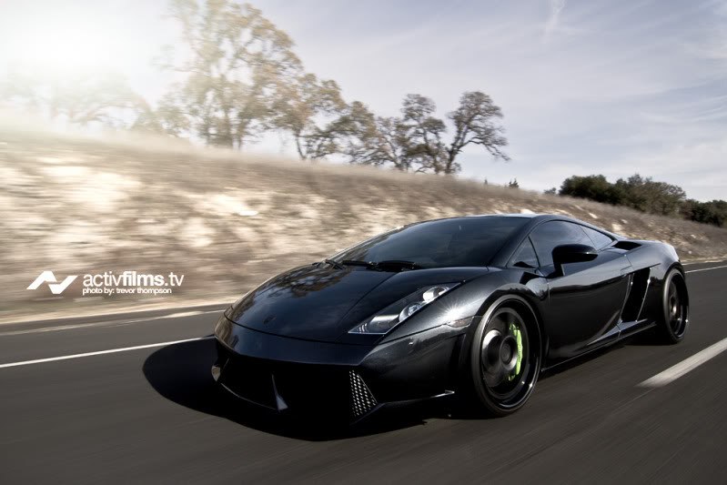 Name:  rollinglambolarge.jpg
Views: 174
Size:  60.5 KB