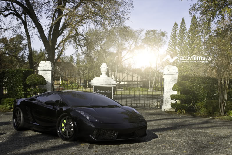 Name:  gallardo2.jpg
Views: 220
Size:  137.9 KB