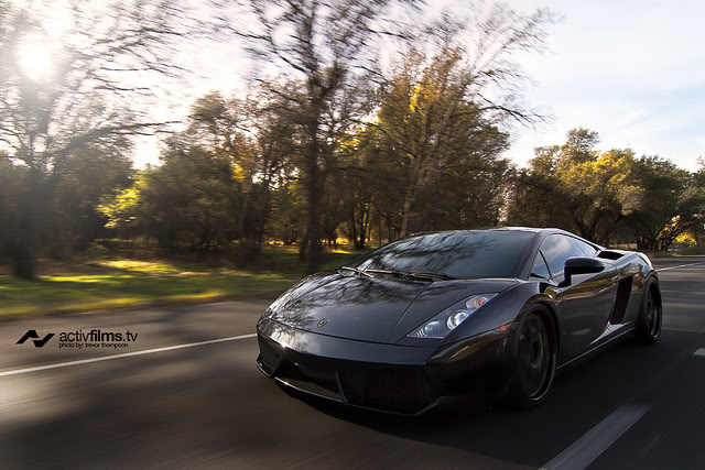 Name:  gallardotrees.jpg
Views: 56
Size:  68.3 KB