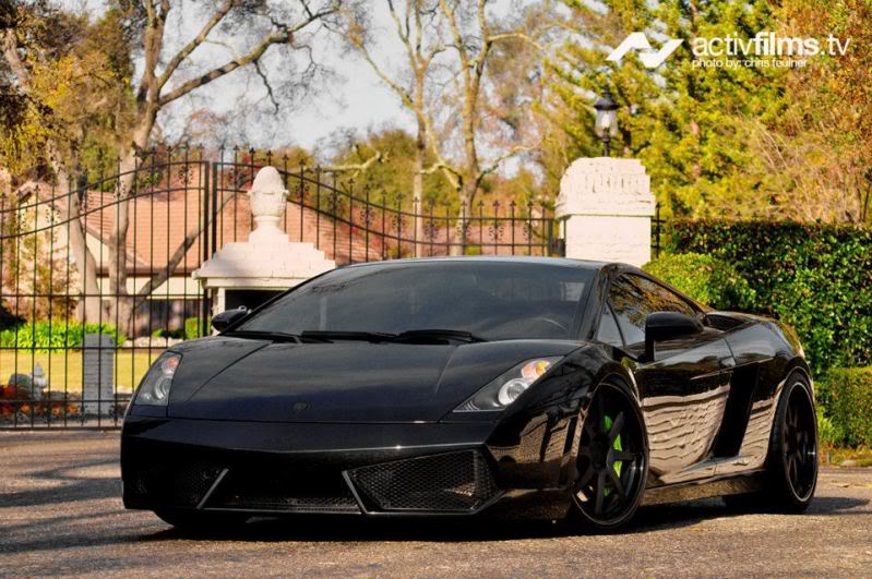 Name:  bullsolo.jpg
Views: 61
Size:  98.8 KB