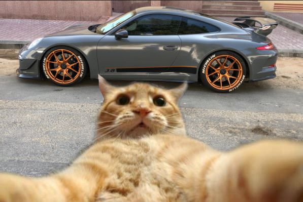 Name:  PI1a6HR.jpg
Views: 77
Size:  40.5 KB