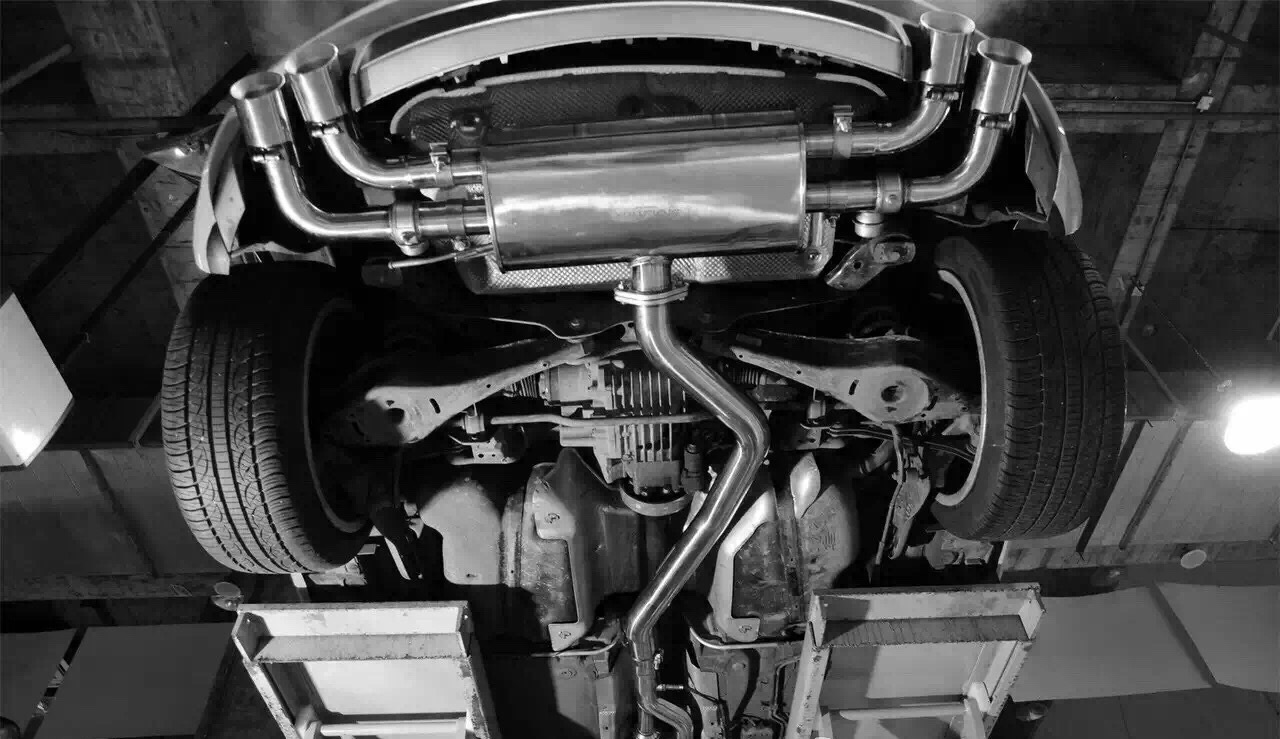 Name:  ANml1Bi.jpg
Views: 59
Size:  229.4 KB