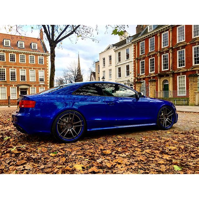 Name:  lysOXI5.jpg
Views: 20
Size:  116.5 KB