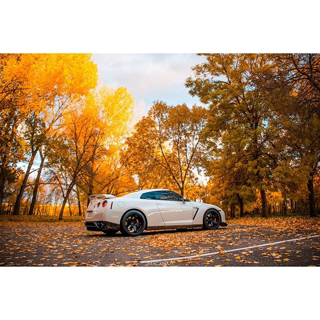 Name:  rrJt6A2.jpg
Views: 55
Size:  104.0 KB