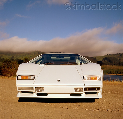Name:  Ron_Kimball_Stock_LAM_01_RK0174_06.jpg
Views: 1720
Size:  137.1 KB