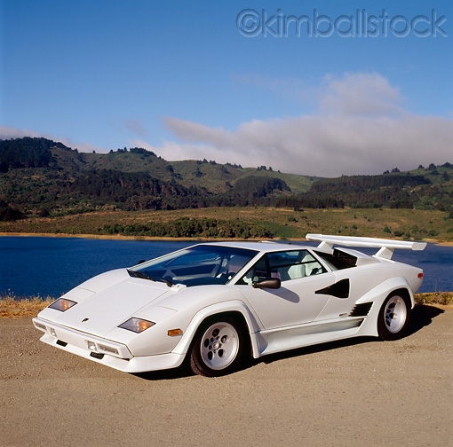 Name:  Ron_Kimball_Stock_LAM_01_RK0177_04.jpg
Views: 1663
Size:  158.5 KB