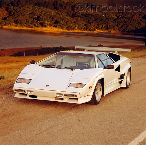 Name:  Ron_Kimball_Stock_LAM_01_RK0185_02.jpg
Views: 1713
Size:  195.5 KB