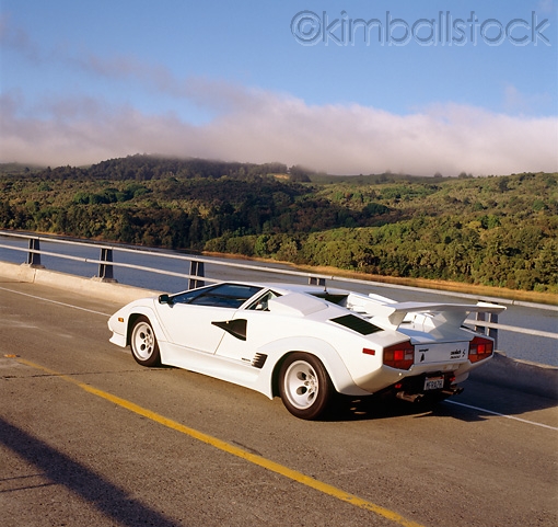 Name:  Ron_Kimball_Stock_LAM_01_RK0186_02.jpg
Views: 1660
Size:  166.2 KB