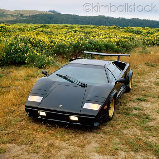 Name:  Ron_Kimball_Stock_LAM_01_RK0216_01.jpg
Views: 1665
Size:  243.3 KB