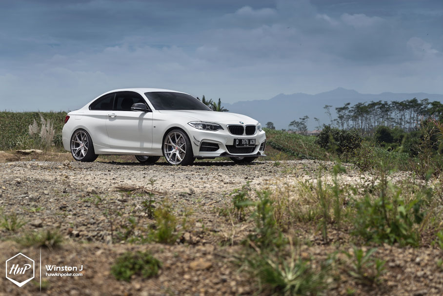 Name:  oEhH9aO.jpg
Views: 60
Size:  123.5 KB