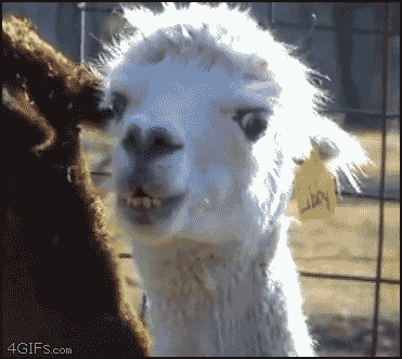 Name:  OkI7P.gif
Views: 20
Size:  2.00 MB
