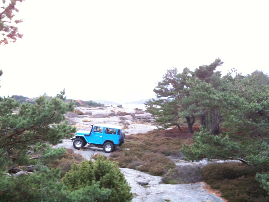 Name:  IMG_1959.jpg
Views: 156
Size:  160.2 KB