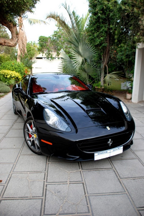 Name:  DSC_0018.jpg
Views: 635
Size:  158.2 KB