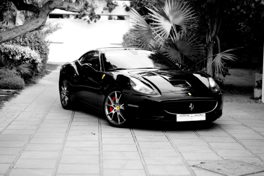 Name:  DSC_0024.jpg
Views: 617
Size:  158.4 KB