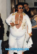 Name:  elvis.jpg
Views: 312
Size:  21.1 KB