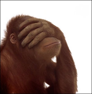 Name:  monkey1.jpg
Views: 205
Size:  34.4 KB