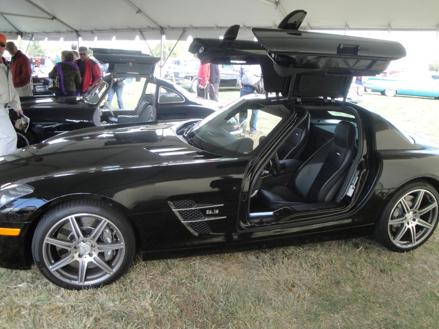 Name:  DSC01369.jpg
Views: 1088
Size:  262.0 KB