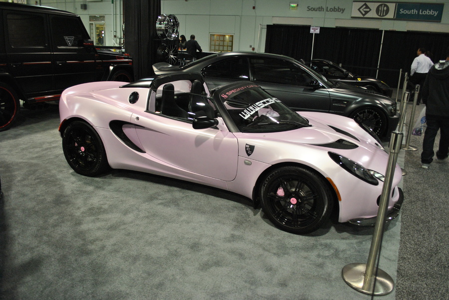 Name:  DSC_0234.jpg
Views: 186
Size:  226.7 KB