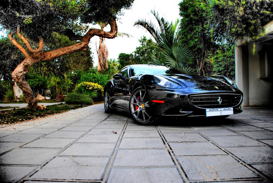 Name:  California GT (7).jpg
Views: 945
Size:  317.4 KB