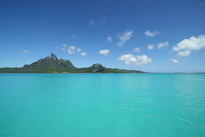 Name:  otemanu.jpg
Views: 293
Size:  73.0 KB
