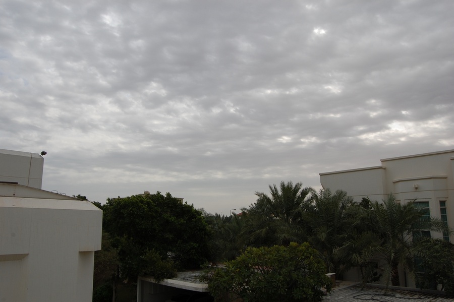 Name: DSC_0175.jpg
Views: 426
Size: 118.3 KB