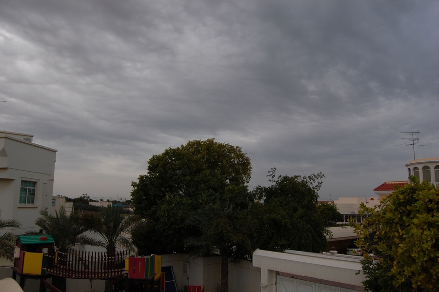 Name:  DSC_0181.jpg
Views: 373
Size:  135.5 KB