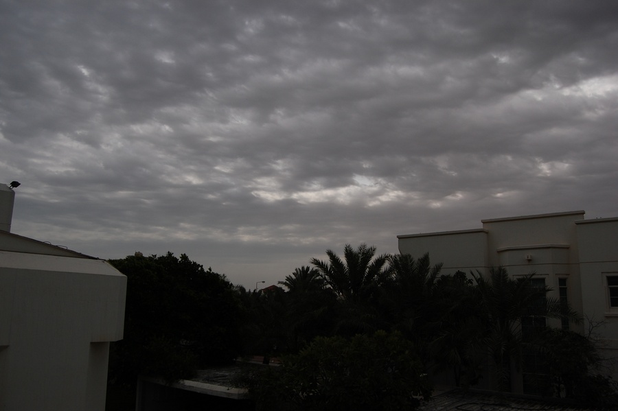 Name: DSC_0182.jpg
Views: 358
Size: 96.1 KB