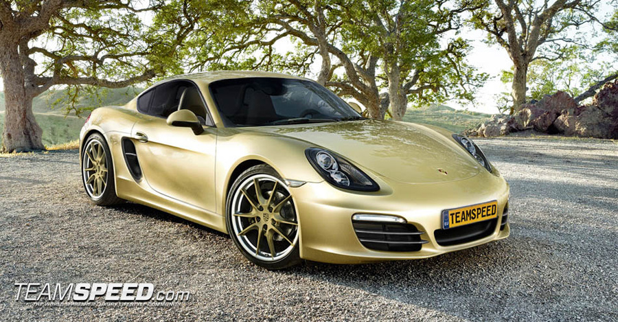 Name:  porschecaymannew copy.jpg
Views: 1672
Size:  311.7 KB