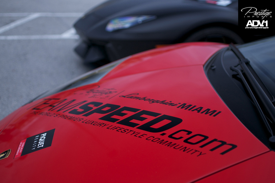 Name:  DSC_4311.jpg
Views: 1847
Size:  153.9 KB