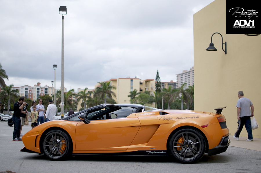 Name:  DSC_4312.jpg
Views: 1897
Size:  185.6 KB