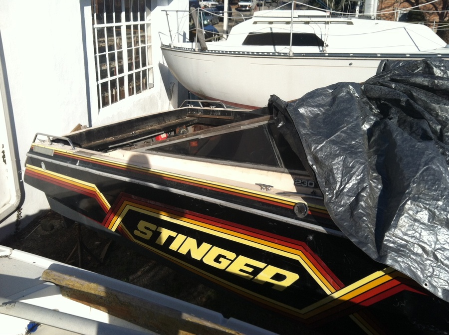 Name:  stinger.jpg
Views: 193
Size:  232.1 KB