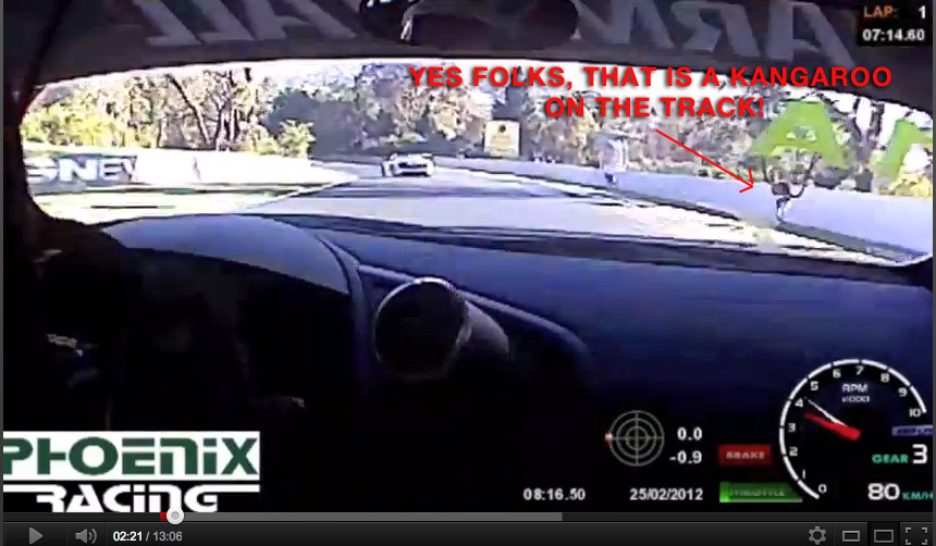 Name:  hippehop4.jpg
Views: 121
Size:  138.2 KB