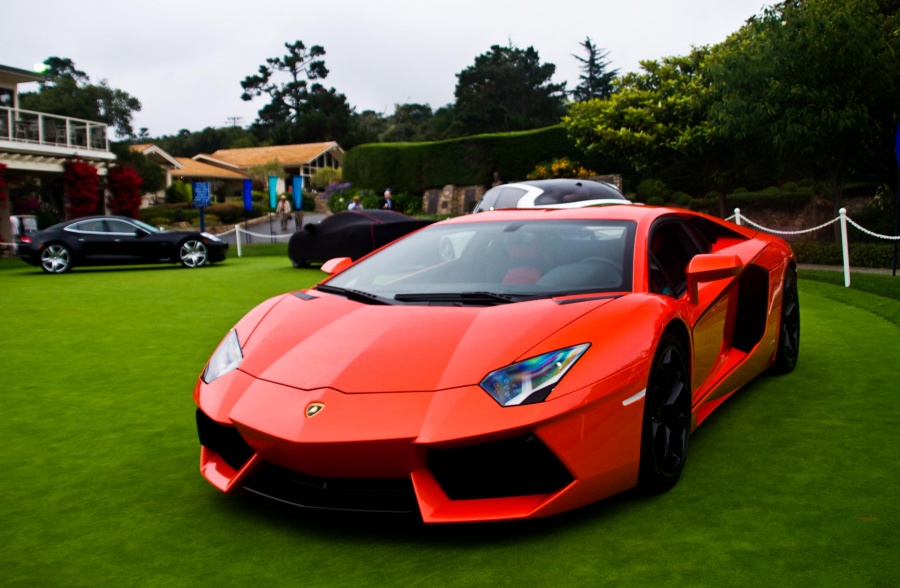 Name:  P8218534.jpg
Views: 85
Size:  167.2 KB