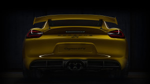 Boxster Spyder GT4 a “real” possibility
