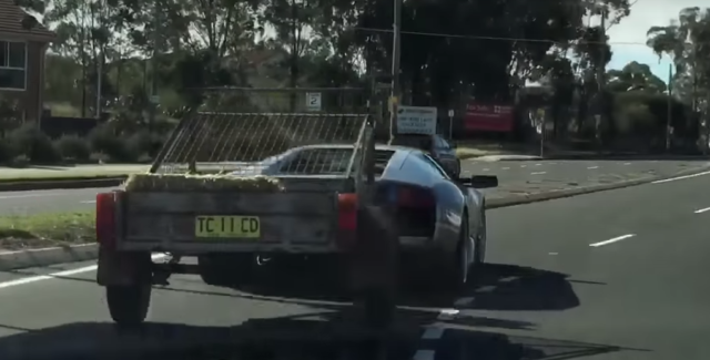 Lamborghini Murcielago Tows Trailer Hauling Goats