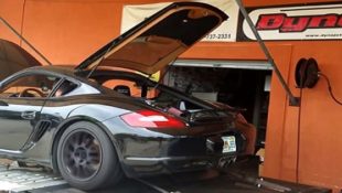 Ford Coyote V8 Power for a Porsche Cayman?